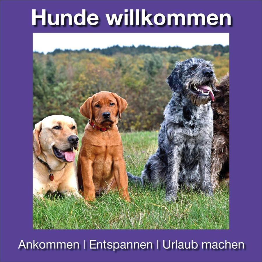 Ferienwohnungen Beckendorf Schiller Losheim Luaran gambar
