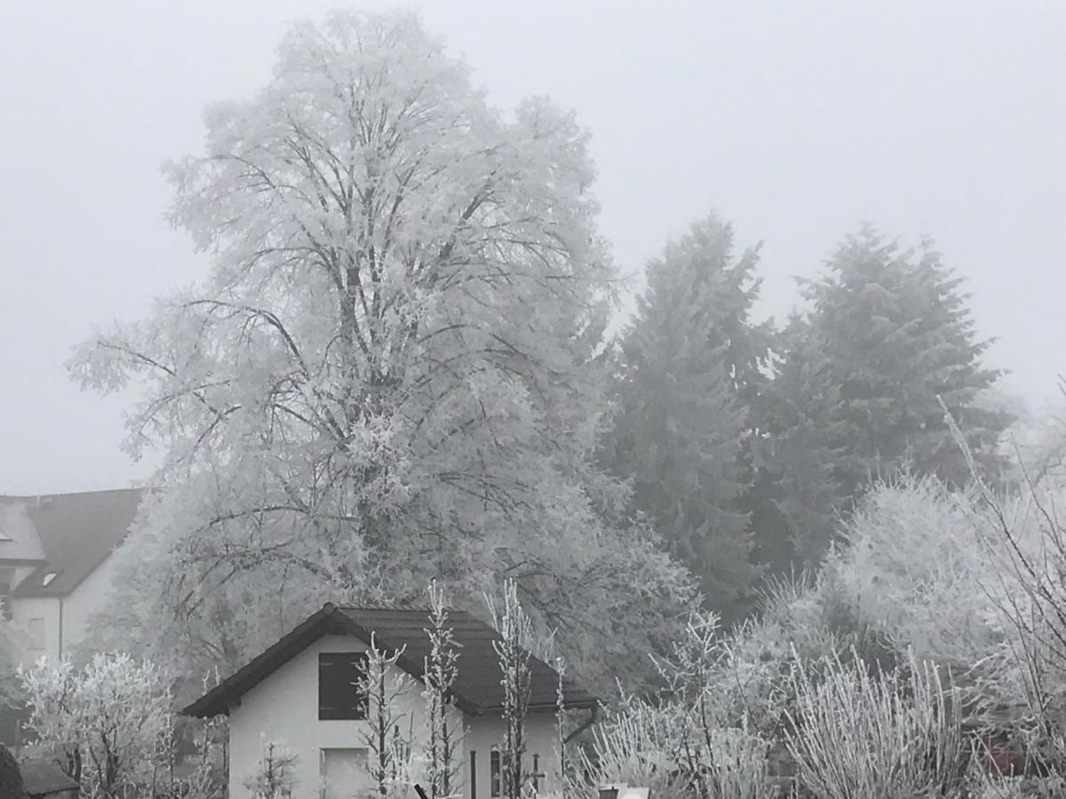 Ferienwohnungen Beckendorf Schiller Losheim Luaran gambar